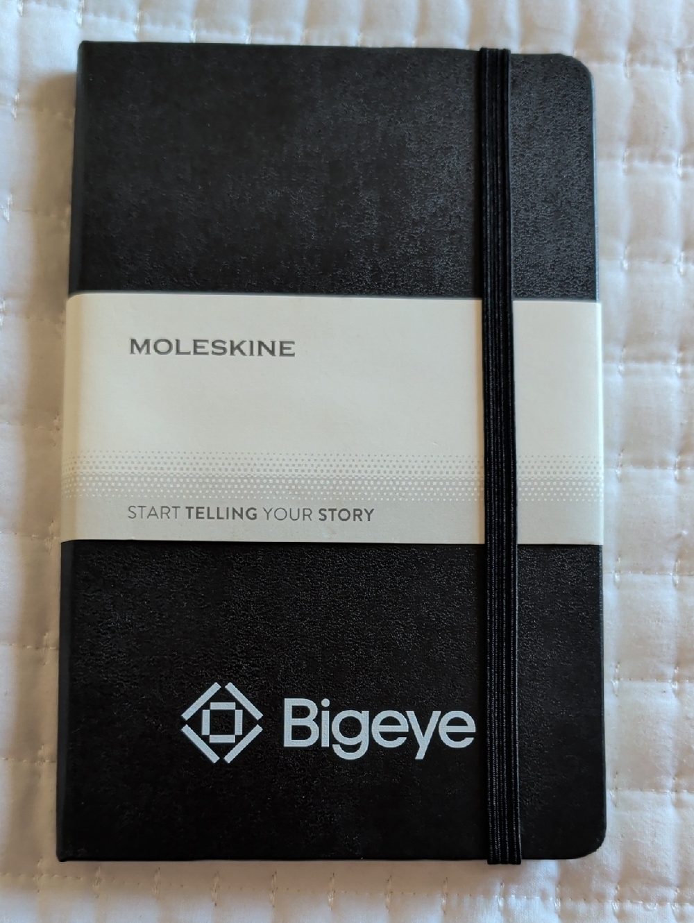 Moleskine Black Hardcover Notebook with Bigeye Logo and Elastic